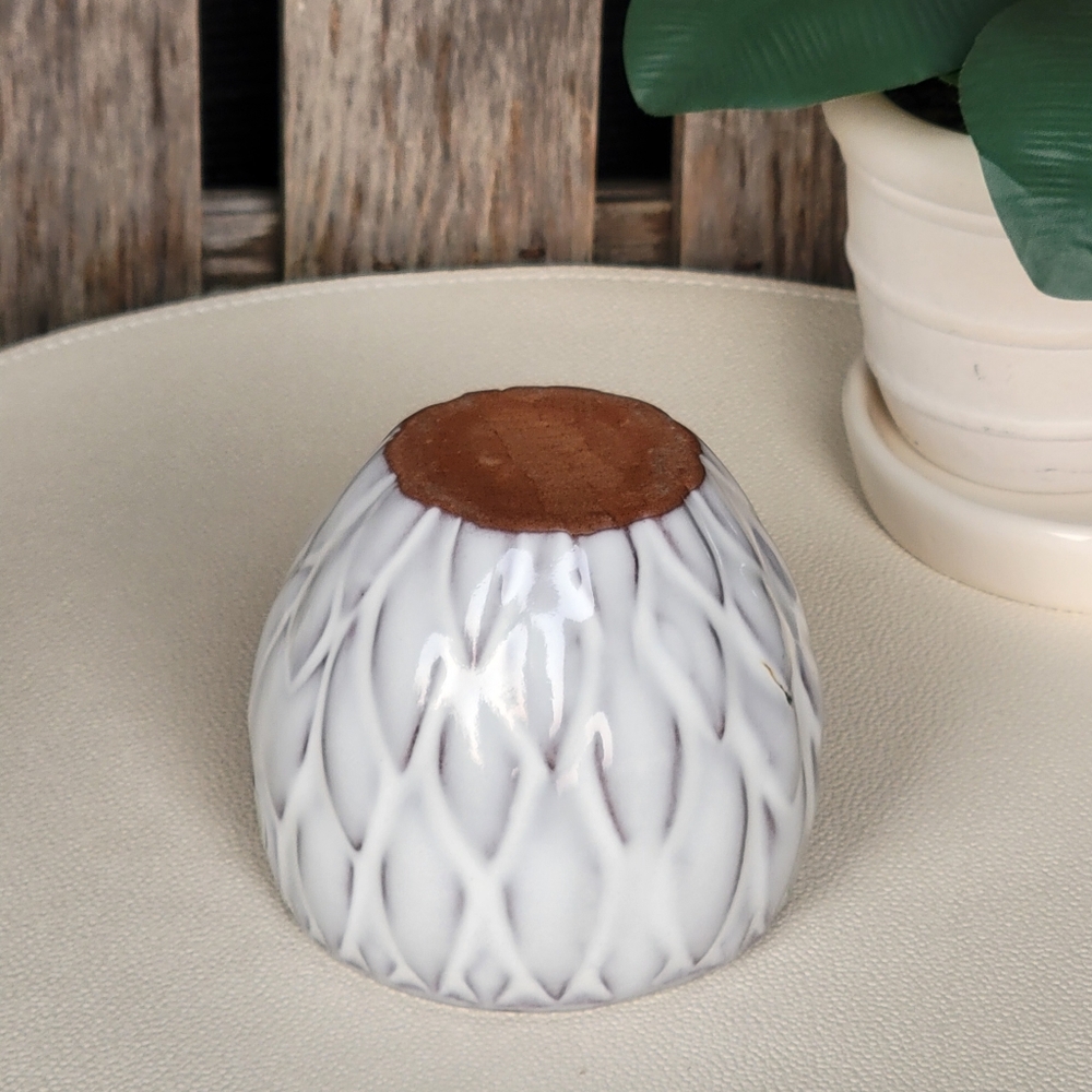 DEROMA white glossy glazed textured TERRACOTTA succulent planter - Picture 3 of 6